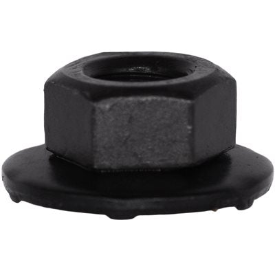 Black Finish Hex Flange Nuts